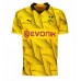 Borussia Dortmund Mats Hummels #15 Alternativní Dres 2023-24 Krátkým Rukávem